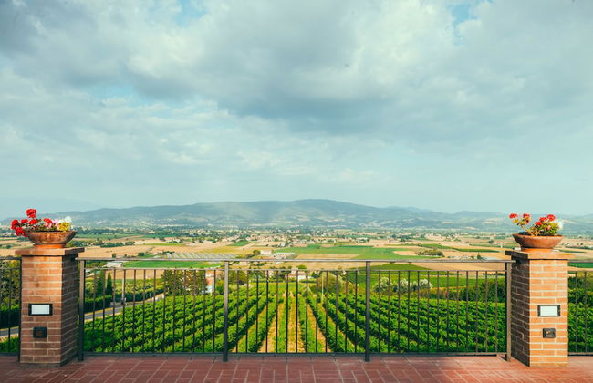 Agriturismo Chiorri - Foto 34