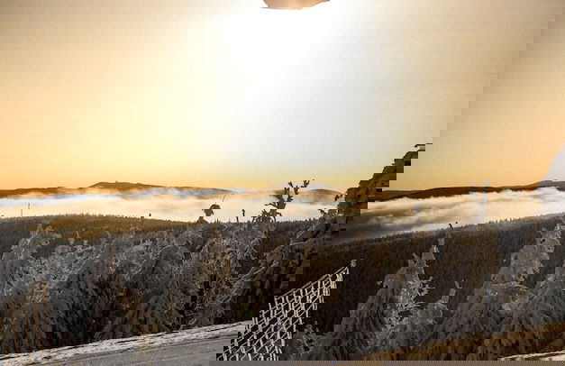 Forest Park Resort & SPA - Foto 37