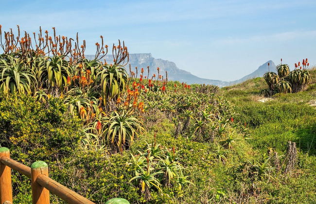 Marechale Way - Photo 40