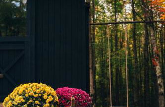 Mountain Brook Cabin - Foto 17