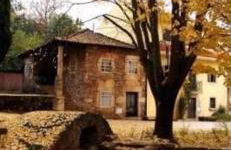 Casa da Sofia - Foto 2