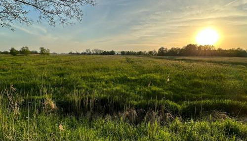 Ferienhaus Moorzauber - Photo 3, Garden view