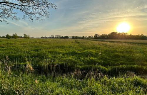 Ferienhaus Moorzauber - Photo 3