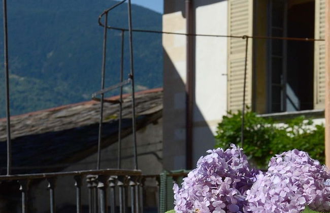 Roseto del Drago - Foto 31