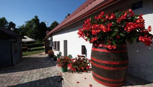 Family-friendly apartments with swimming pool Lic, Gorski kotar - 23685 - Foto 3