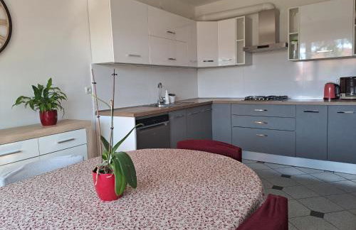 Apartment Krišković - Photo 9