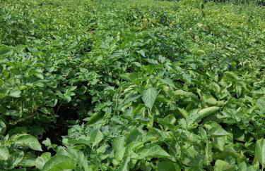 Bed and Bike Rheine - Foto 34