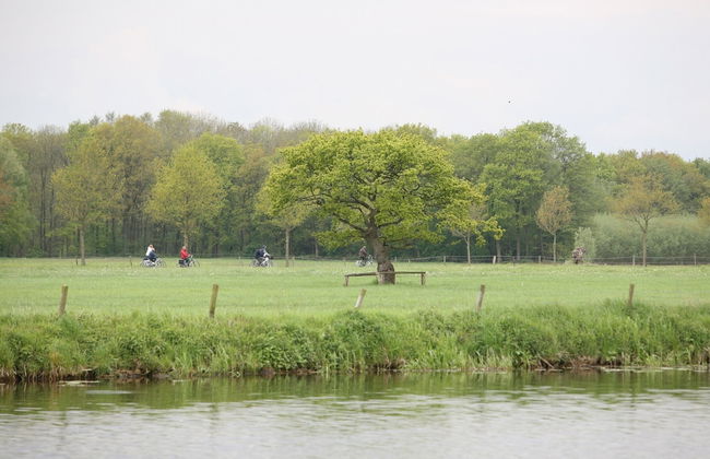Cozy Countryside Escape in Dalfsen - Photo 33