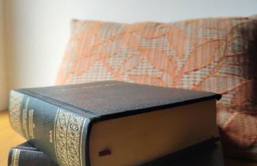 Viosinho guest house - Foto 21