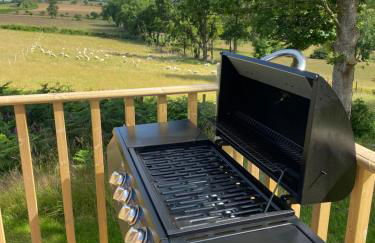 Blaenplwyf Shire Pods - Foto 41