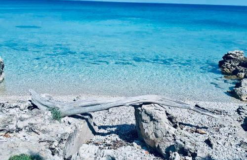 Casa natura - Olib, gem of islands - Photo 55