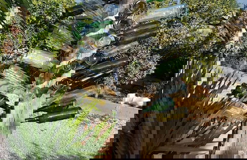 Farmhouse on an Olive Grove - Foto 28