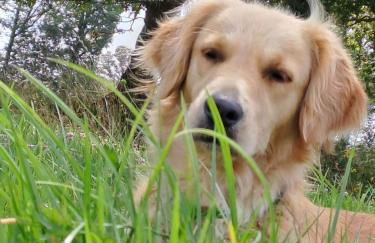 gite de la Chevrie - Photo 15