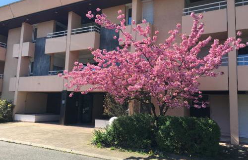 Soundproof Studio Geneva Airport 10 min and UN 20 min - Foto 16