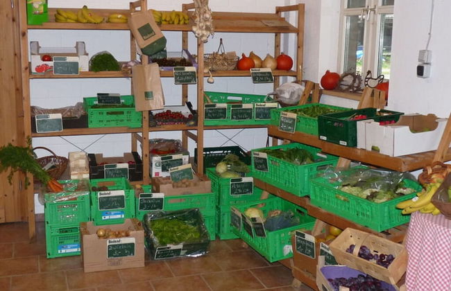 at the Organic Farm Angus-hof - Foto 7