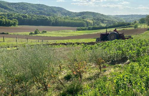 Silver Juglans Holiday Home - Photo 24