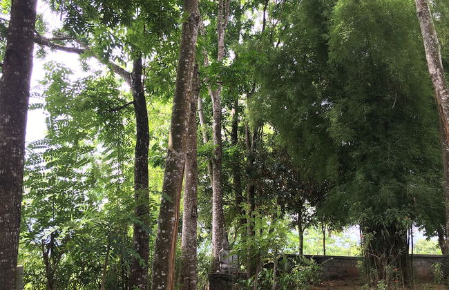 Captain's Bungalow - Foto 35