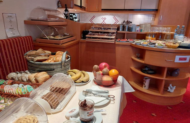 Apart Frühstückspension Stark Paznaun - Foto 77