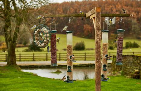 Rawcliffe House Farm Studios, Peaceful North York Moors Retreat - Foto 24