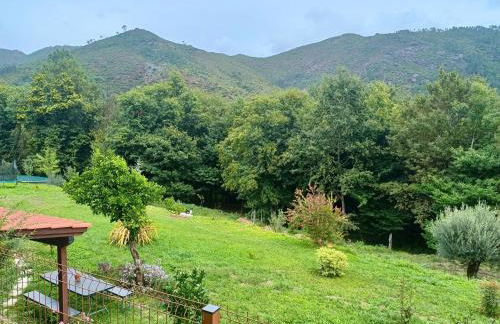 Quinta da Casa Matilde - NATURE HOUSE - Foto 62