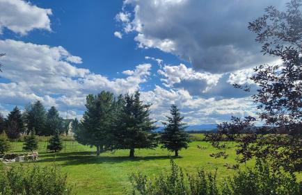 Mountain View Home on 2 Acres - Foto 6