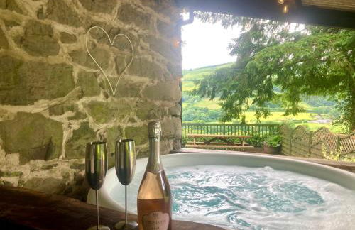 Ysgubor Craig Y Gronfa - Photo 56