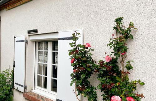 Gîte du Marais - Proche Chambord, Wifi, Animaux admis, Parking privé - FR-1-491-467 - Photo 21