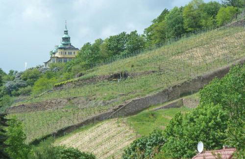 FeWo „Zum Napoleonstein“ - Foto 47