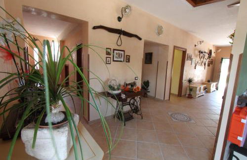 Azienda Agrituristica La Tenuta del Falco - Foto 9