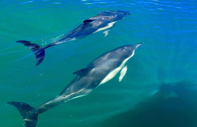 Tan y Garn - 2 Bedroom Cottage - Whitesands - Foto 14