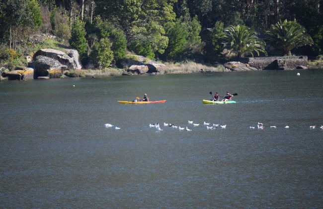 Tour en kayak por la cascada de Ézaro - Foto 3