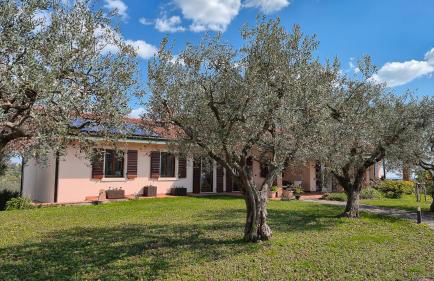 Agriturismo CarpinoNero - Photo 7