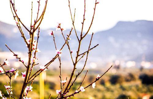 Nafplio TopView - Foto 16