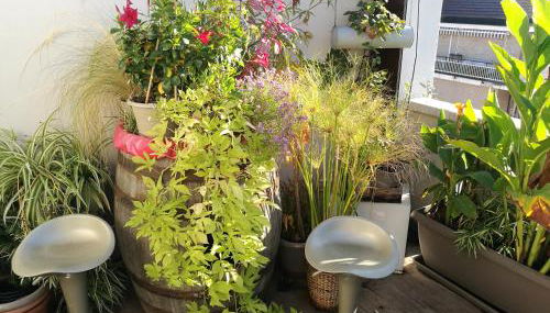 Floorplan B - 208 - Photo 4