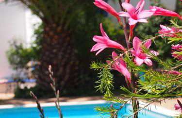 Quinta Da Relva - A traditional farmhouse in a stunning location - Foto 38