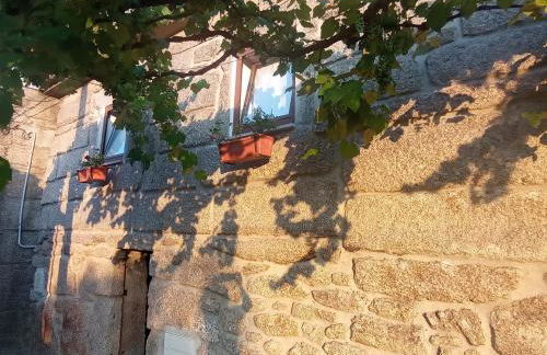 Gerês e Cabreira - Romoa Vintage Guest House - Foto 4