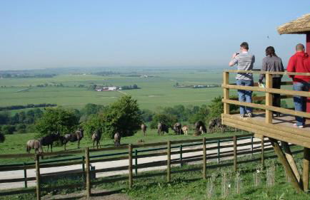 Bunny Cottage by Bloom Stays - Foto 29