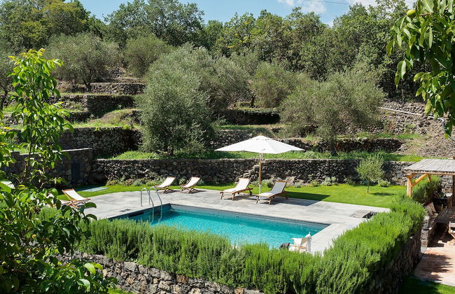 Nerello Mascalese - Foto 34