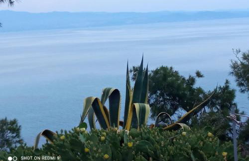 Castle on the edge of the sea - Foto 35