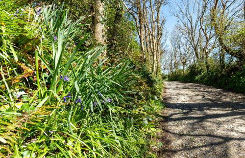 Hednes Barn - Foto 32