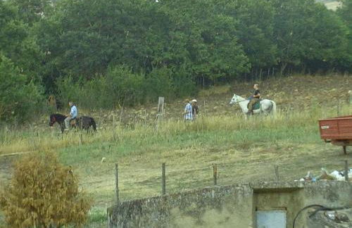 Agriturismo San Pietro - Foto 77