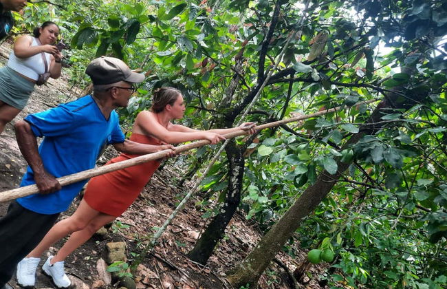 Puerto Plata Cacao Tour - Photo 9