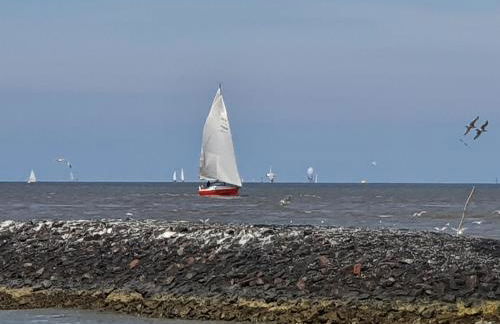 Meine Zeit - Foto 31