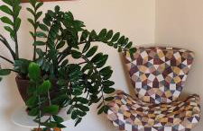 Cantinho do paraíso da Deuza - Foto 12