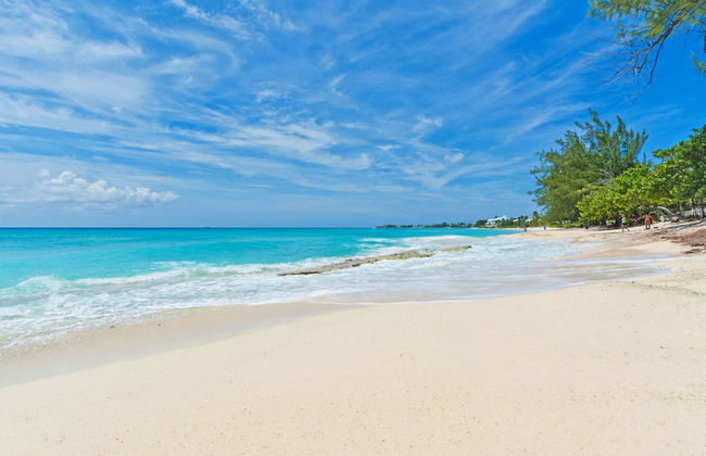 Seabreeze 8 - Luxury 4-bedroom on Seven Mile Beach - Photo 27