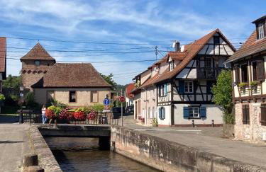 Charmante maison de 140m2 au bord de la rivière au coeur de Wissembourg - Foto 42