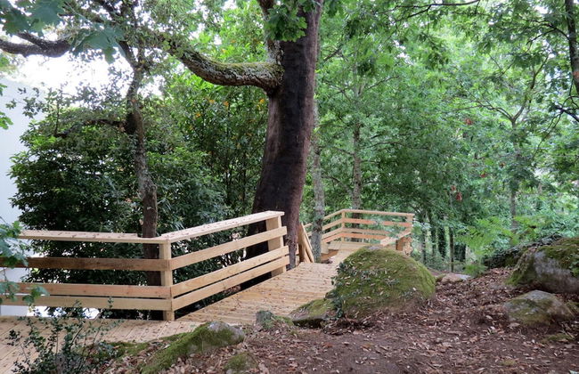 Quinta do Pomar Maior - Foto 41