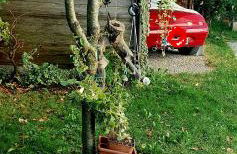 Casa Lorelein - Foto 30