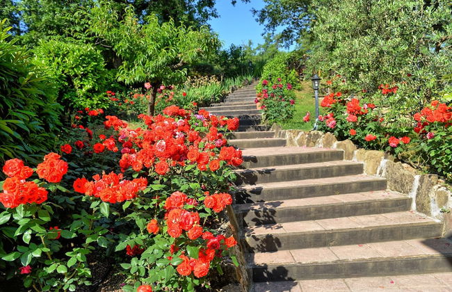 Col Di Forche - Foto 49