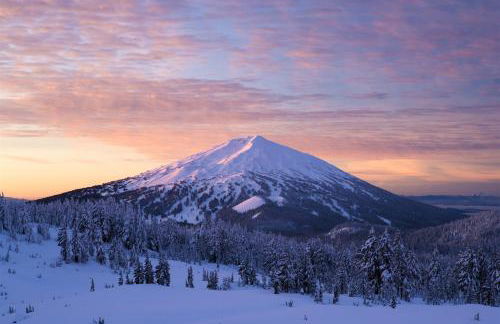 Bluebird Day - Brooks House - Foto 35